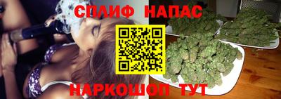 амф Донской