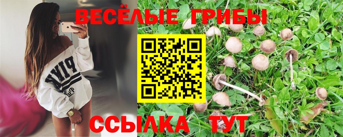 Галлюциногенные грибы Cubensis Кушва