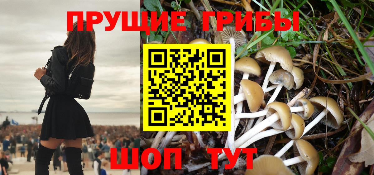 Псилоцибиновые грибы мухоморы  сколько стоит  Кушва  Вход с VPN 